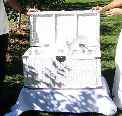 large flock basket_opt