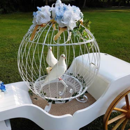 Princess Carriage - Cage & Pair - Closeup