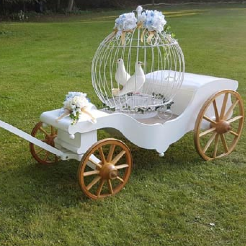 Princess Carriage - Cage & Pair